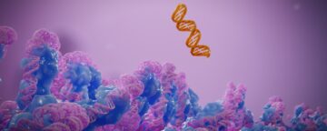 Rendering of an orange DNA fragment approaching a strand of DNA in blue and pink.