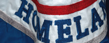 Detail of the Homeland Security Flag