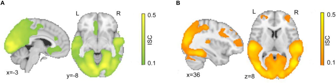 Figure showing intersubject correction for justified movie violence and unjustified movie violence.