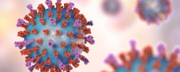 3D artistic rendering of respiratory syncytial virus (RSV).