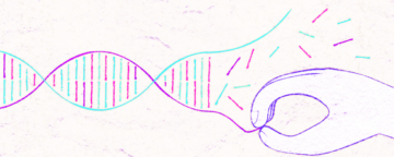 Annenberg Science Media Monitor #2. Media Framing of News Stories About the Ethics, Benefits, and Risks of CRISPR/Cas9.