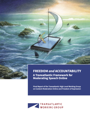 Report calling for transparency and accountability by online platforms