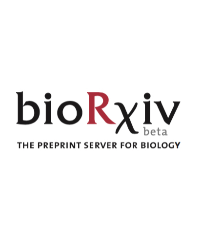 bioRxiv logo