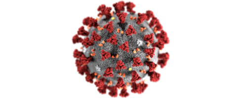 Illustration of the coronavirus used in story about how FactCheck.org debunks coronavirus myths.