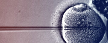 Injection into human embryo.