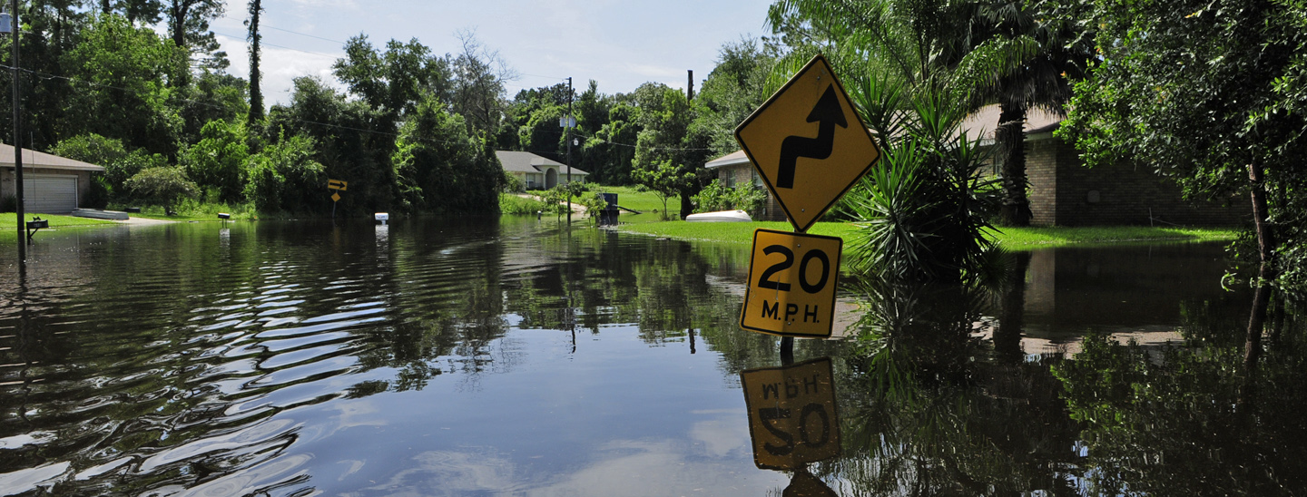 Florida neighborhood flooded after a tropical storm. Credit: FEMA/Barry Bahler.