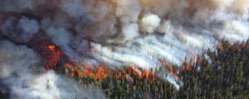 Forest fire in Yellowstone National Park. Credit: National Park Service/Mike Lewelling.