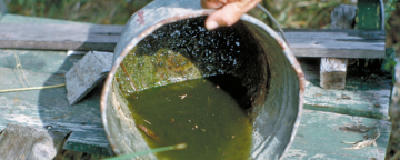 Emptying bucket to prevent mosquitoes from breeding. Credit: CDC.