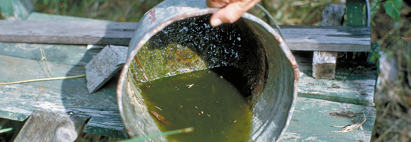 Emptying bucket to prevent mosquitoes from breeding. Credit: CDC.