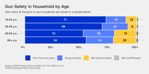 Graphic showing gun safety in household by age.