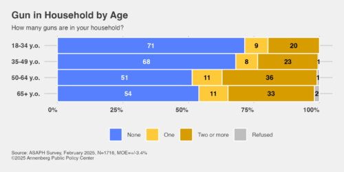 Graphic showing guns in households by age.